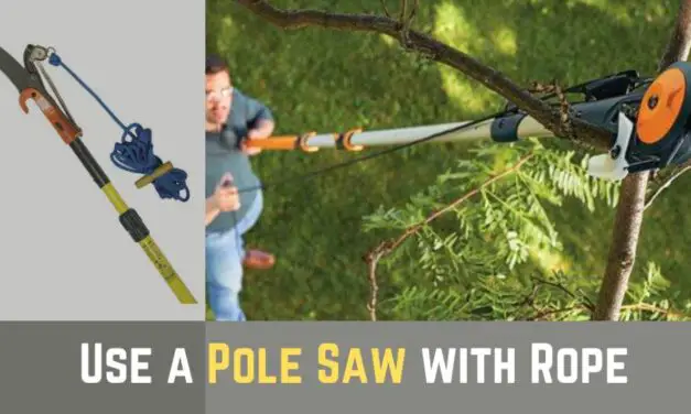 How to Use a Pole Saw with Rope? – Best Tree Branch Cutter
