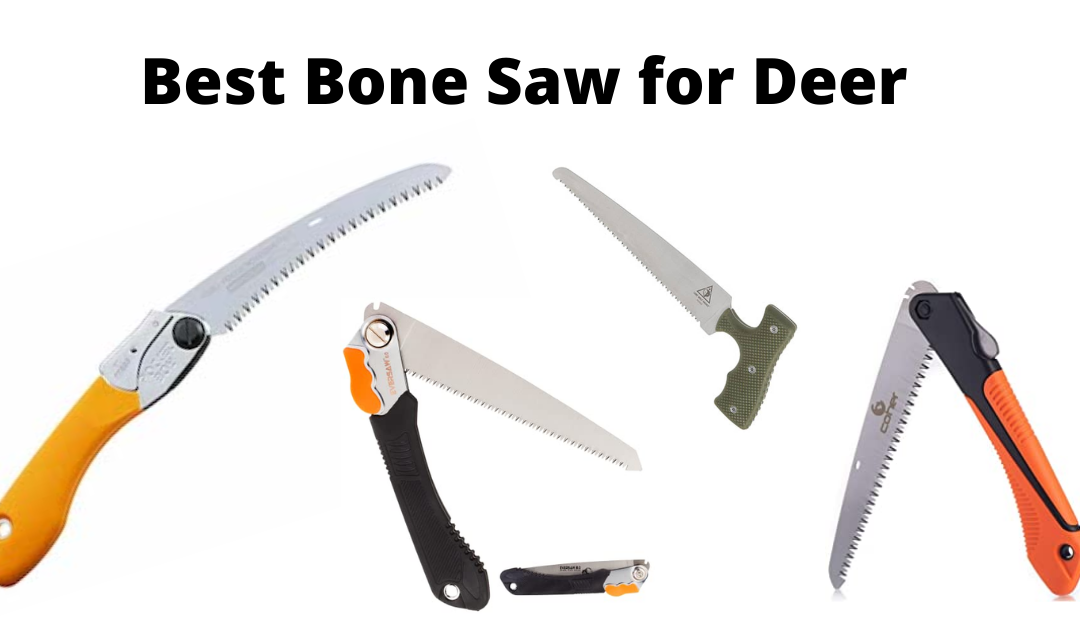 6 Best Bone Saw for Deer | Bone Saw for Hunting