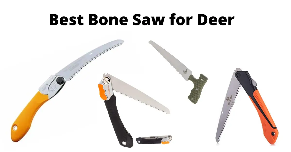 6 Best Bone Saw for Deer | Bone Saw for Hunting
