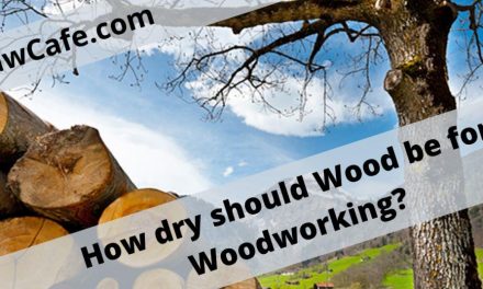 How Dry Should Wood be for Woodworking –  How to Dry Wood Fast?