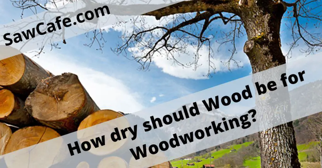 How Dry Should Wood be for Woodworking –  How to Dry Wood Fast?