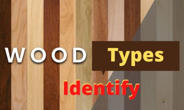 How to Identify Wood Types In Furniture – 4 Ways to Identify Different Wood Furniture Types