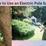 How to Use an Electric Pole Saw?