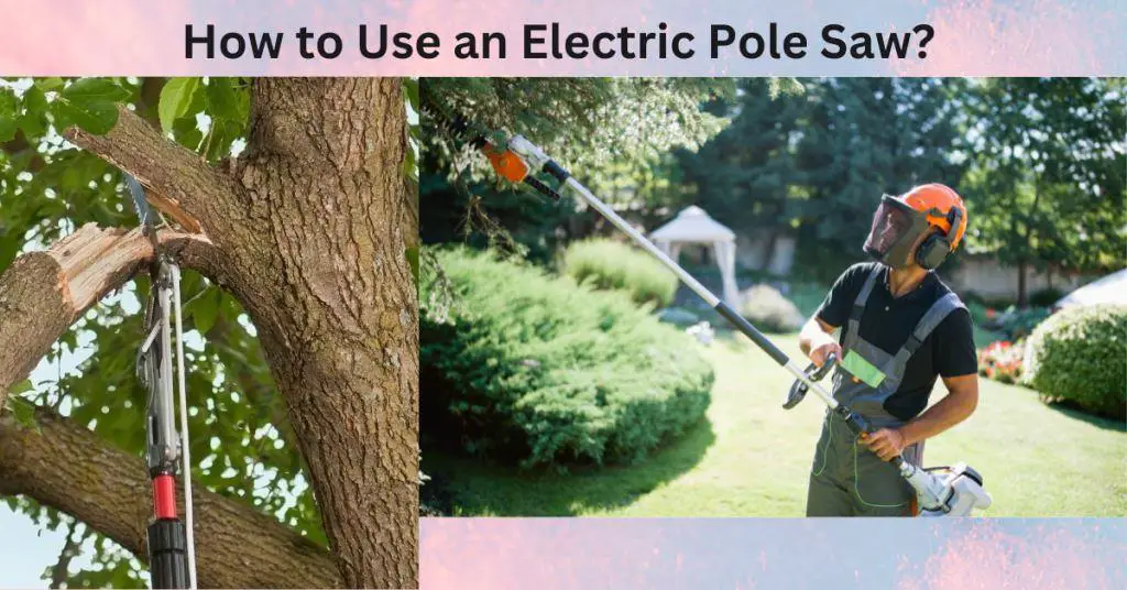 How to Use an Electric Pole Saw?